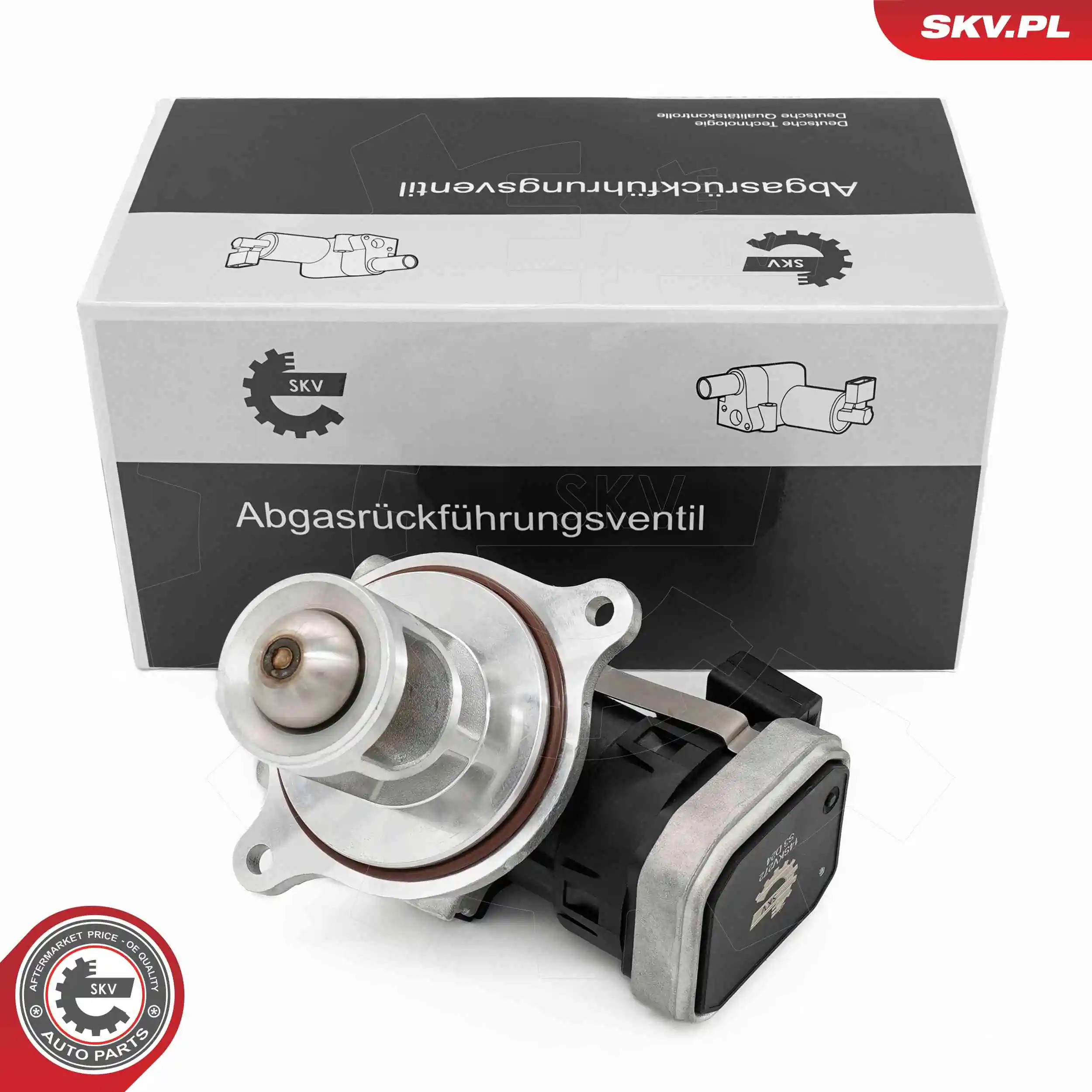 EGR Valve